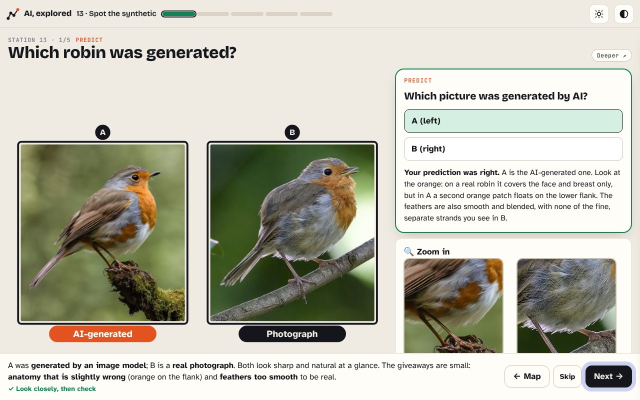 A scene from Station 13: a real robin photograph next to an AI-generated robin, with the answers revealed.